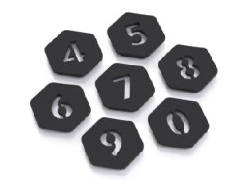 BirdDog Rear Numbers for P110-P120 Black