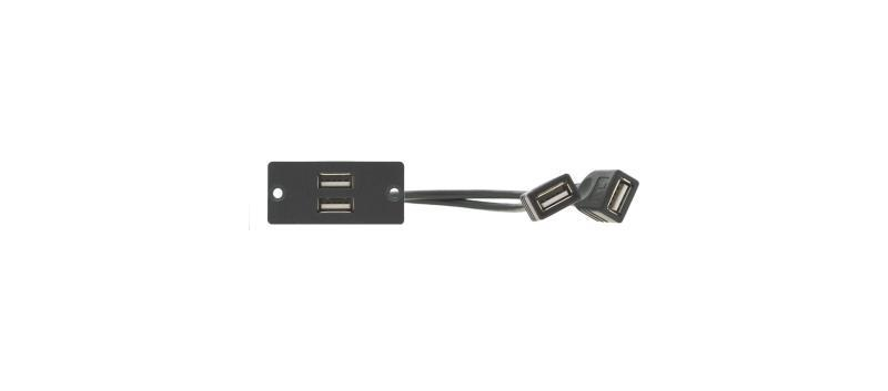WU-2AA (G) 2 x USB 2.0 (A/A) Wall Plate Insert