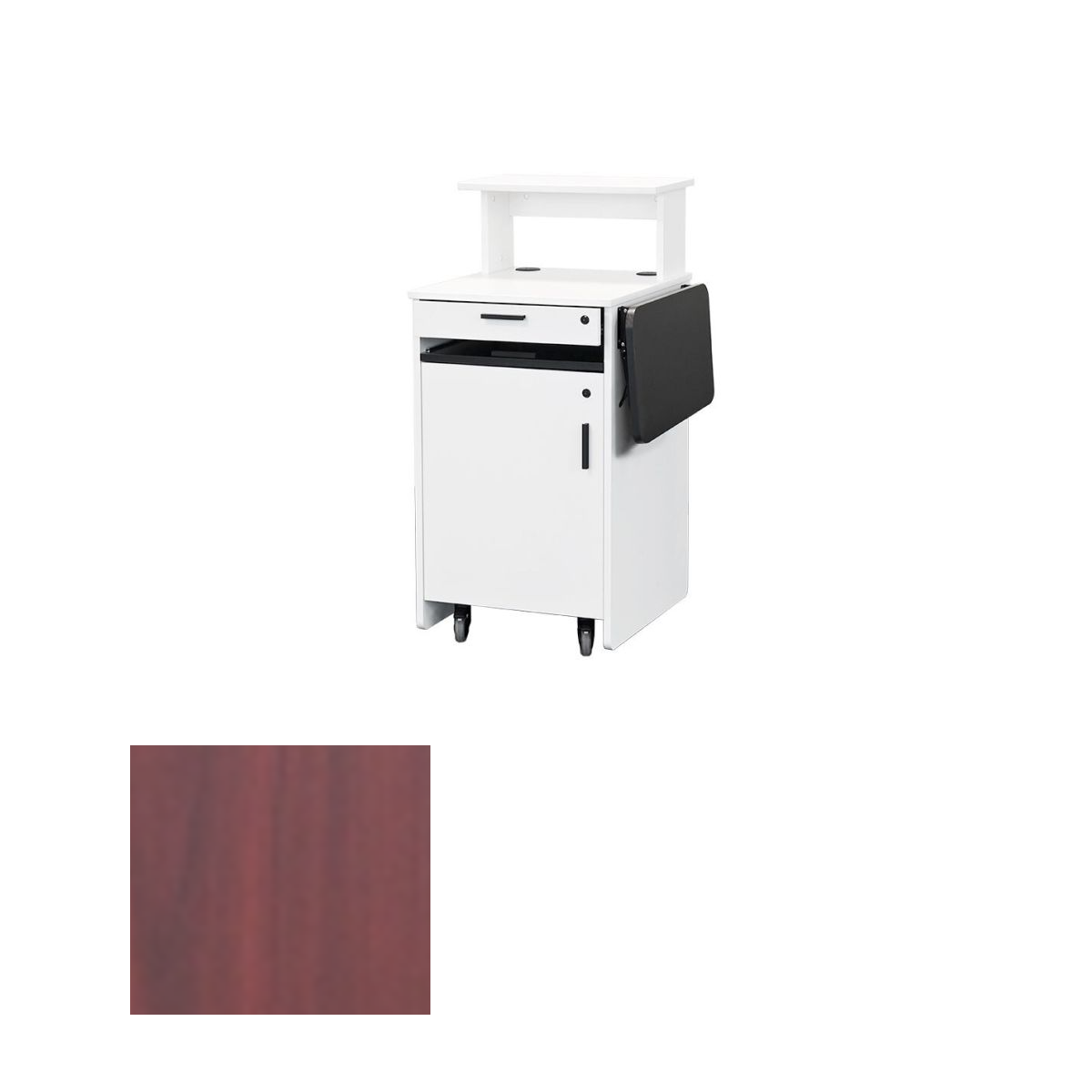 EWS10 BWL Educational Workstation, Brazilian Walnut
