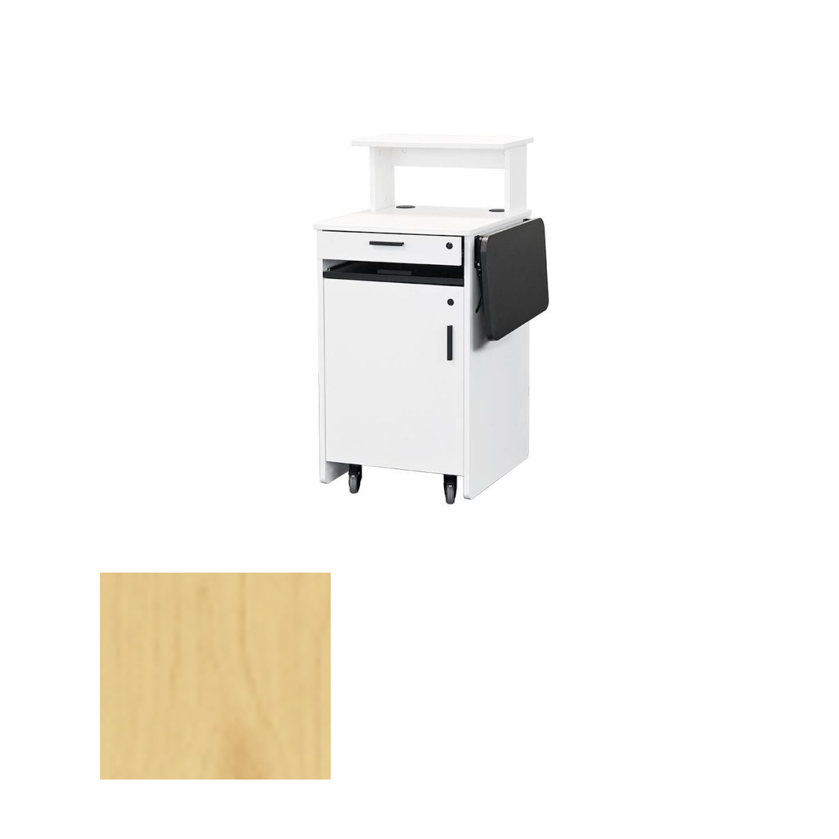 EWS10 MPL Educational Workstation, Maple