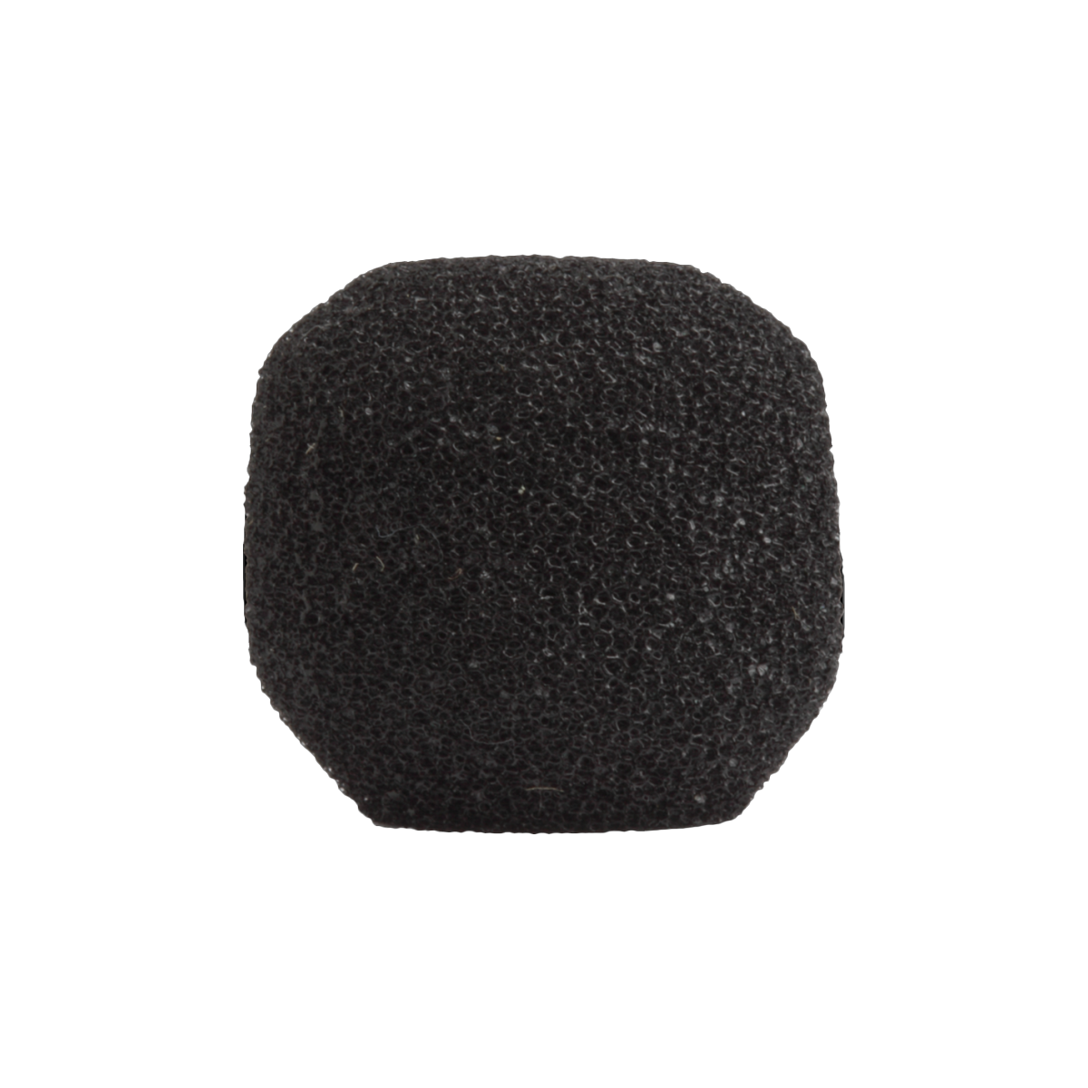 RK261BWS Windscreen