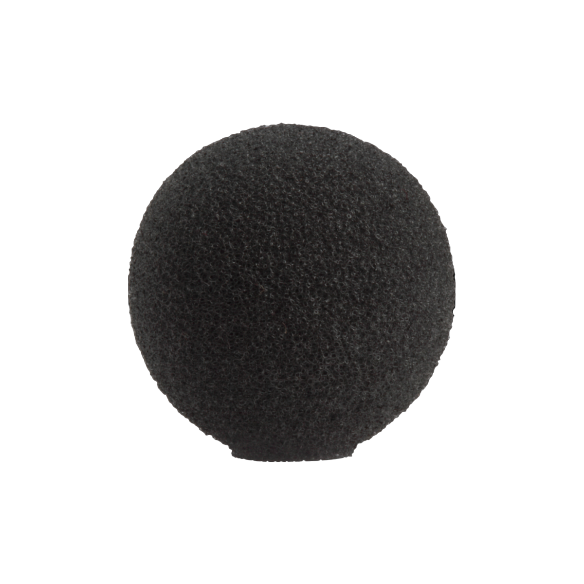 RK355WS Windscreen