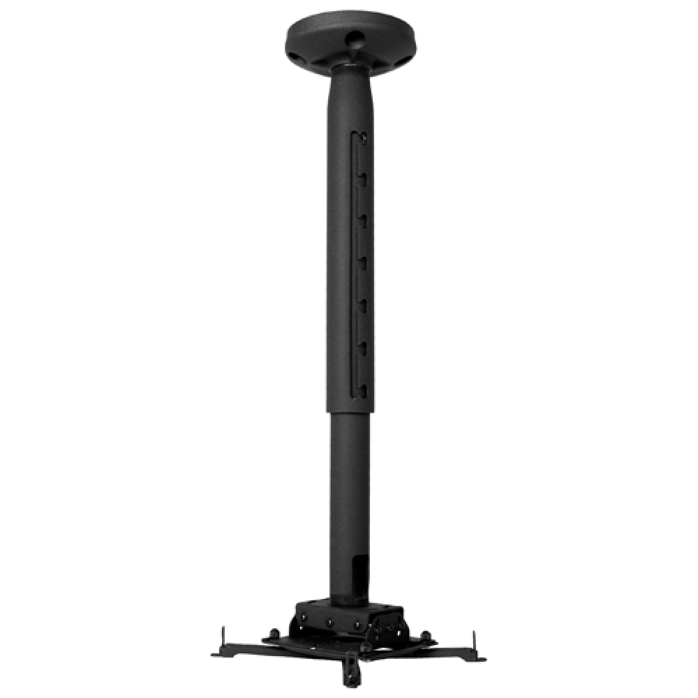 KITPD0203 RPAU, CMS0203, CMS115