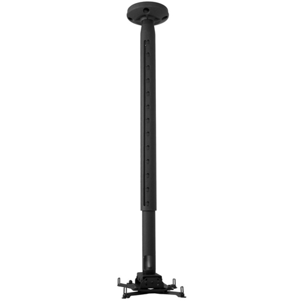 KITPD0305 RPAU, CMS0305, CMS115