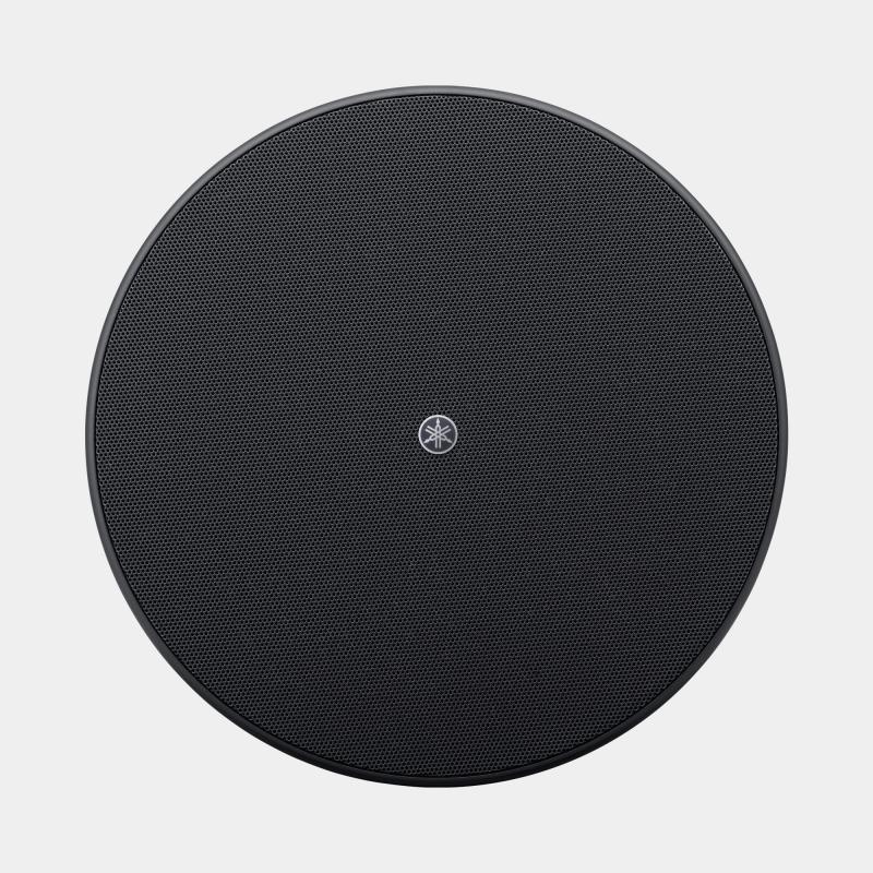 VXC8SB Ceiling Subwoofer, Black