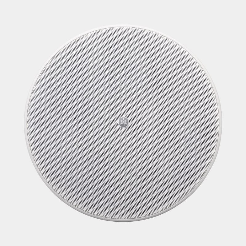 VXC8SW Ceiling Subwoofer, White