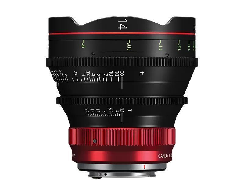 CN-R14MM T3.1 L F Lens (RF Mount)