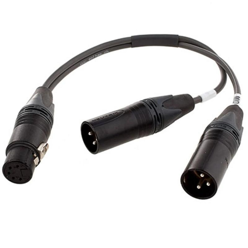 ACS5 5-pin XLR to Dual 3-pin XLR Adapter