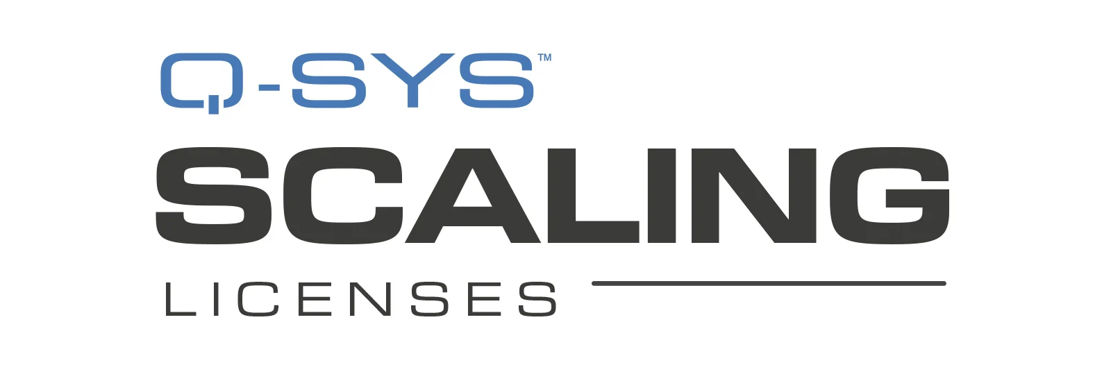 SLCS20-8N-P Capacity Scaling License