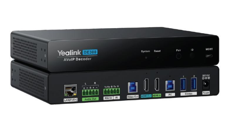 DE300 AV over IP Decoder