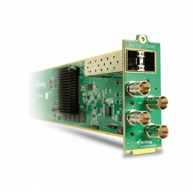 BirdDog 4-Channel 4Kp60 NDI Encoder/Decoder openGear Card