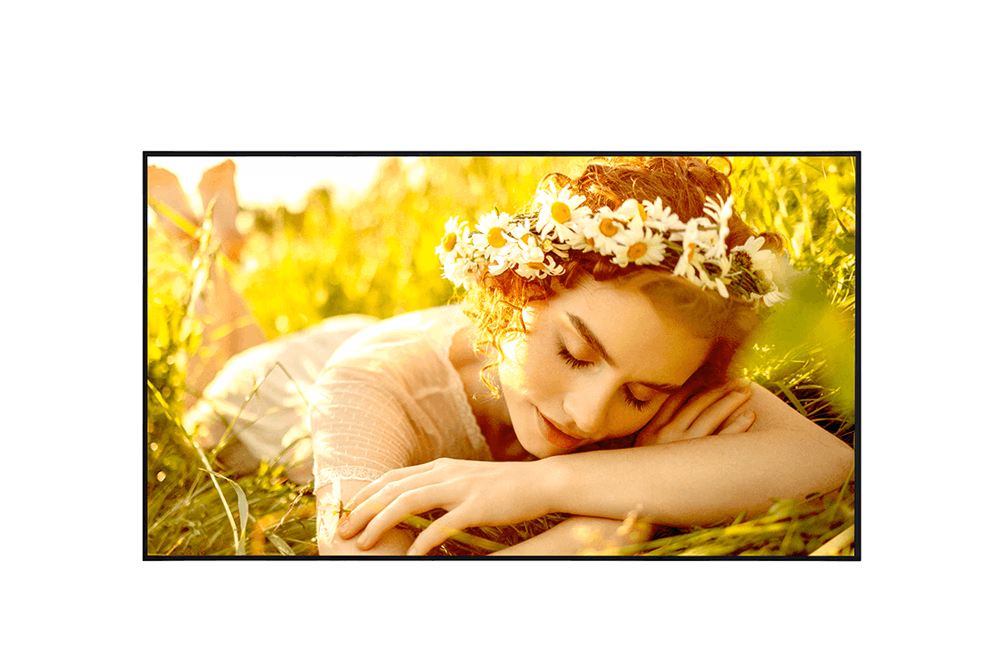 55" UL5Q-M UHD Signage