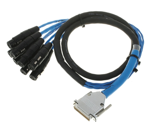DB25-XLRF DigiSnake 4' 4935-00360-00