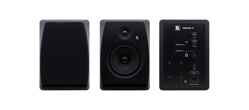 DOLEV6 2-Way, Bi-Amplified Studio Grade Speaker